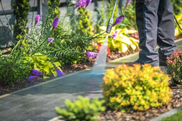 Reliable Frisco City, AL Pressure Washing Services Solutions